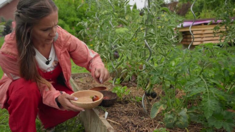 Zahradnice po ruce: Zahrada jako restaurace a půda jako poklad
