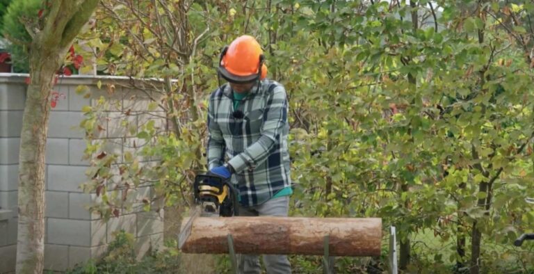 Receptář plný nápadů poradí v neděli se švestkami, klobouky i motorovou pilou