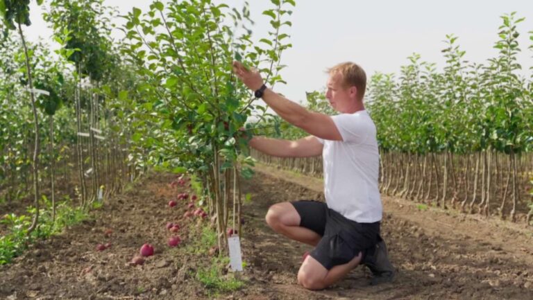 Receptář Prima nápadů: Rady pro rybáře, tipy, jak na dýni, babiččiny brambory, stromy i plísně v domácnosti