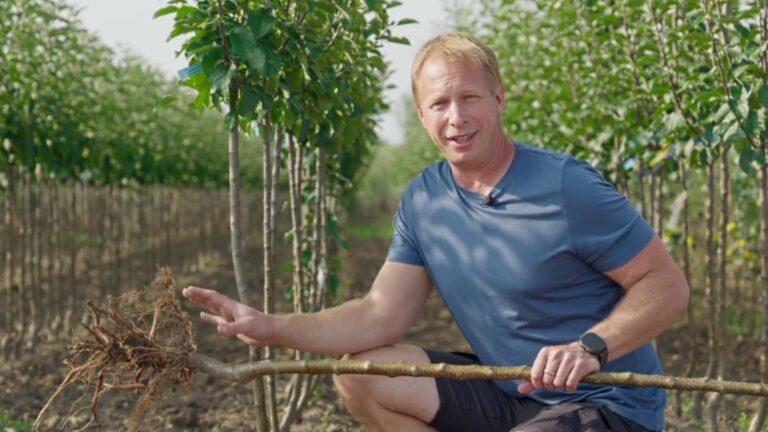 Kadeřávek, tinktury i dveře, co ochrání domov. Receptář přináší podzimní dávku nápadů