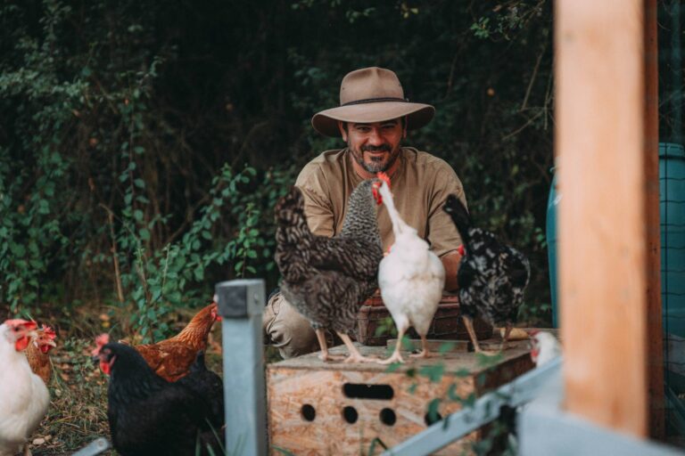Farma Vojty Kotka 4. epizoda: Slunce místo benzínu, souboj s kohoutem a nový člen Kotkovic rodiny