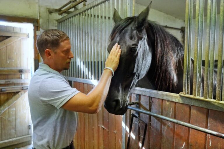 O lidech a koních: Štěpán Benoni schytal facku od seriálové kolegyně