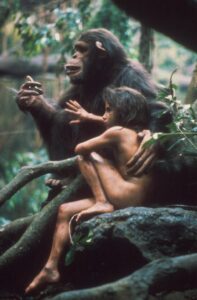 Příběh Tarzana, pána opic, FOTO: Warner Bros. Pictures / distr. Česká televize