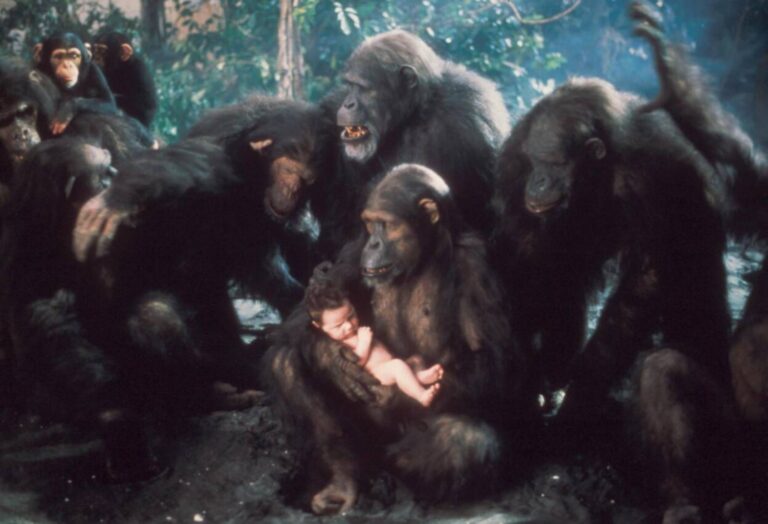 Příběh Tarzana, pána opic: Herečka bez vlastního hlasu, slepý hlavní hrdina a pes s nominací na Oscara