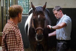 O lidech a koních, FOTO: Distr. FTV Prima