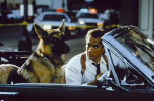 Man in a white shirt and suspenders drives a convertible with a German Shepherd in the back seat as police cars with flashing lights loom in the background.