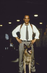 K9: Můj přítel se studeným čumákem, FOTO: distr. TV Nova