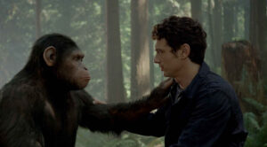 Man in a dark jacket gently touches the arm of a large ape in a forest setting, creating a calm moment.