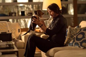 John Wick, FOTO: © Lionsgate, distr. TV Nova