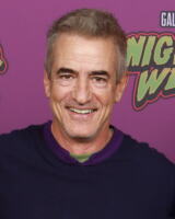 Dermot Mulroney