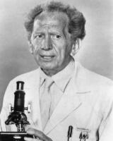 Sam Jaffe